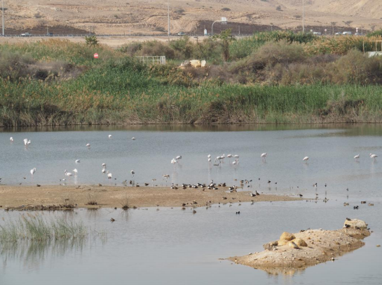 Conservation Signpost