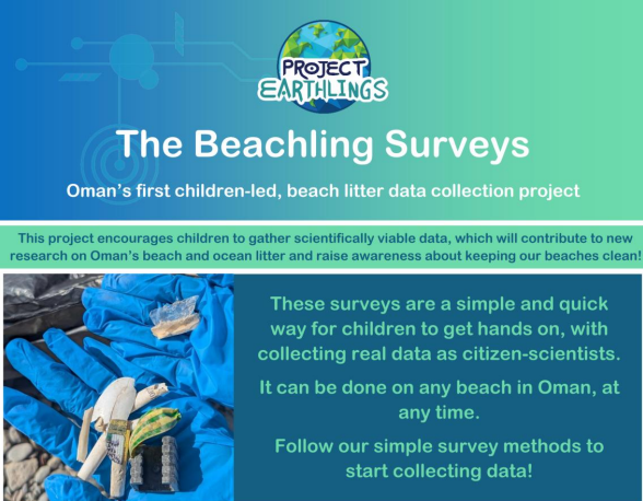 beachling Survey